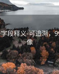 99图库-字段释义-可追溯，99图片头像