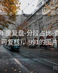 99图库-年度复盘-分段占比-查看汇总(可复核)，991的图片