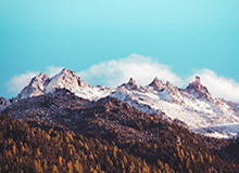 天齐网图库-信息核验-数据中心(可复核),天齐网正版图