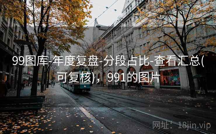 99图库-年度复盘-分段占比-查看汇总(可复核)，991的图片