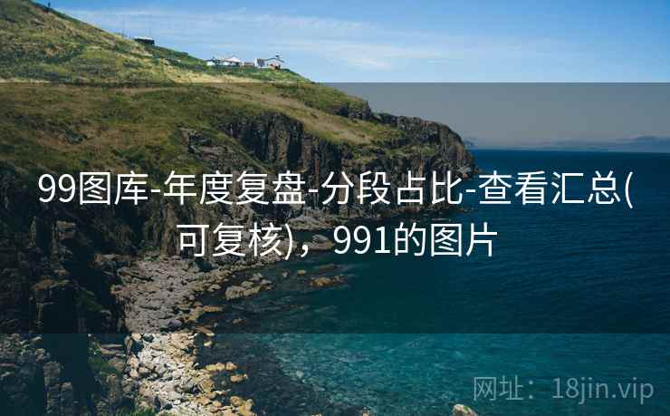 99图库-年度复盘-分段占比-查看汇总(可复核)，991的图片